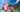 Roaming in Switzerland
