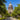 eSIM Texas